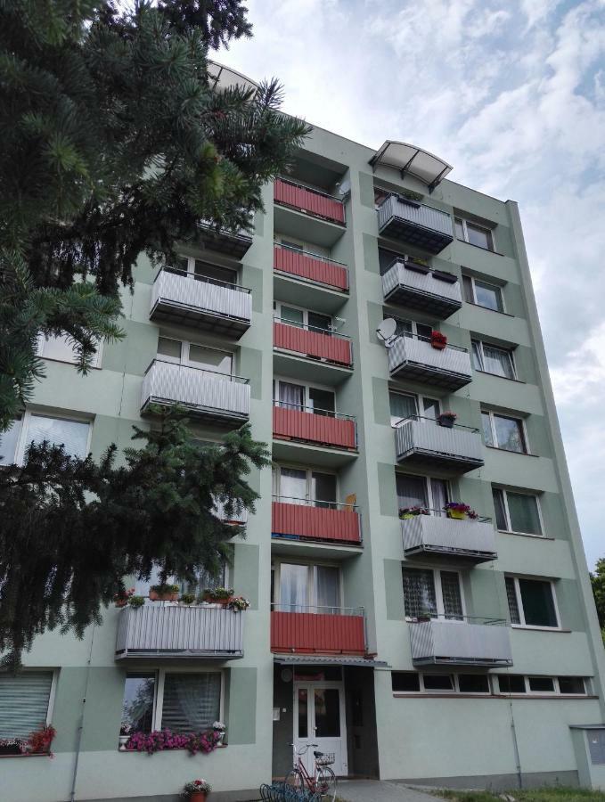 Apartman-Trebon-Centrum Ngoại thất bức ảnh